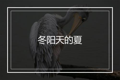 冬阳天的夏