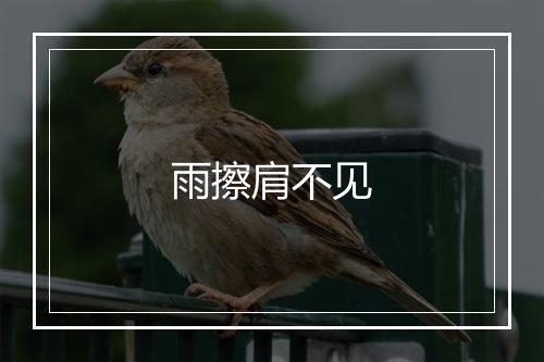 雨擦肩不见