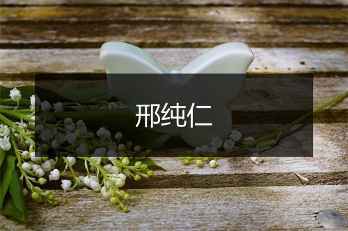 邢纯仁