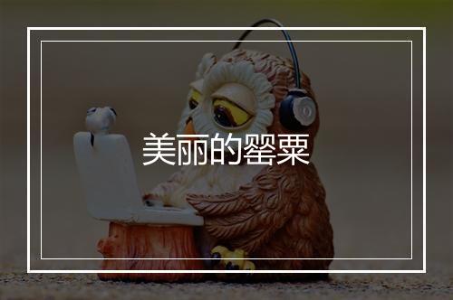 美丽的罂粟