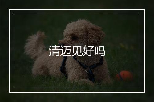 清迈见好吗