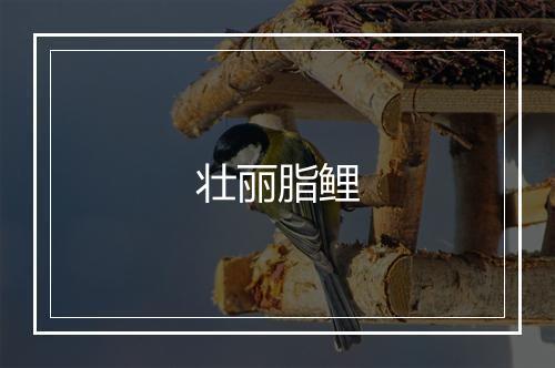 壮丽脂鲤