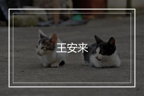 王安来