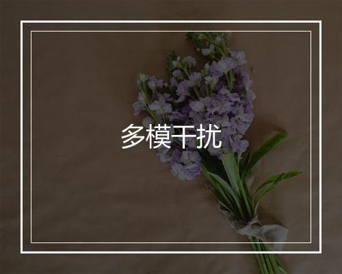 多模干扰