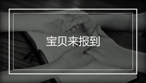 宝贝来报到