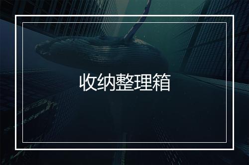 收纳整理箱