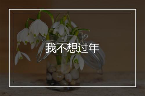 我不想过年