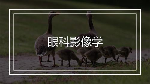 眼科影像学