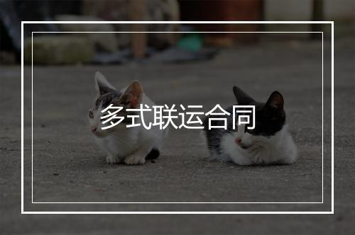 多式联运合同