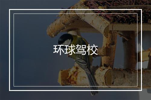 环球驾校