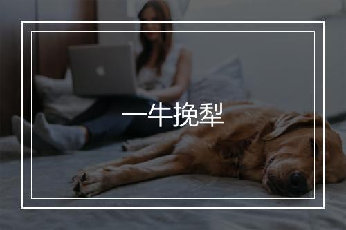 一牛挽犁