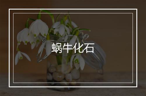 蜗牛化石