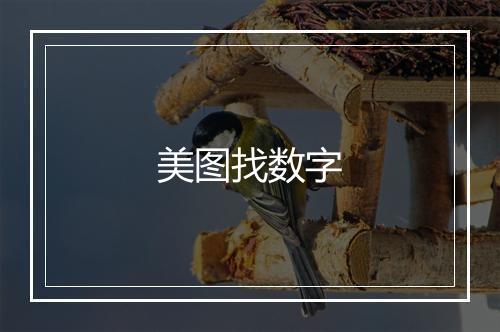 美图找数字