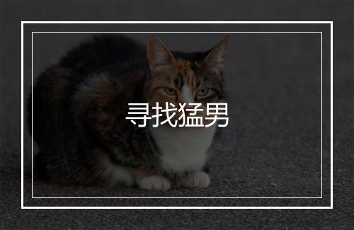 寻找猛男