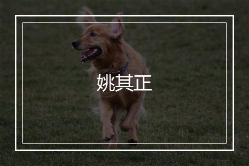 姚其正