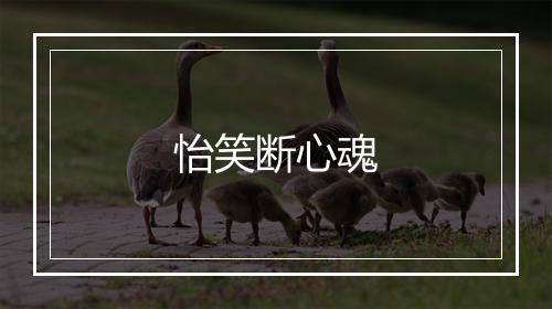 怡笑断心魂