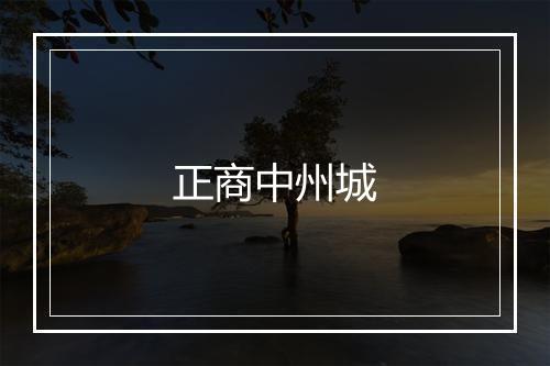 正商中州城