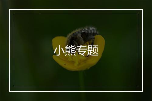 小熊专题