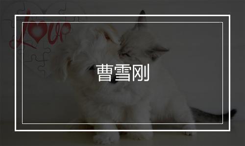 曹雪刚