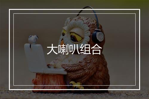 大喇叭组合