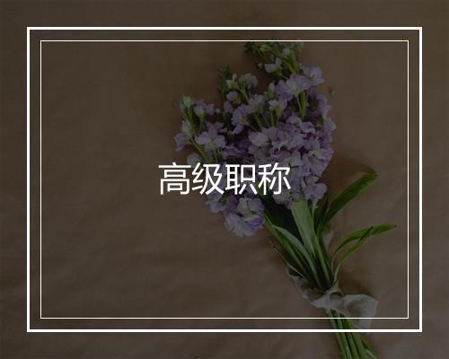 高级职称