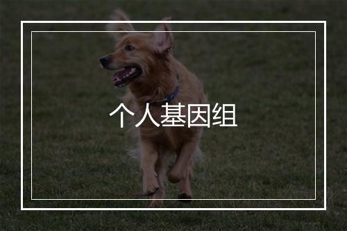 个人基因组