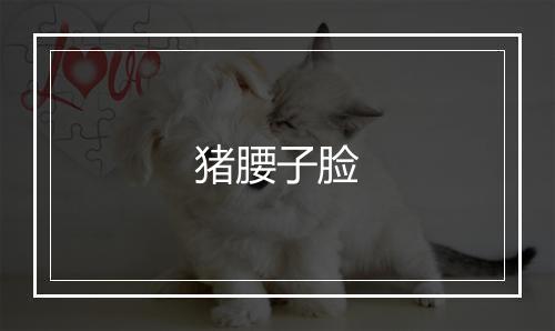 猪腰子脸