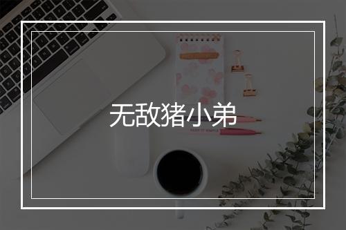 无敌猪小弟