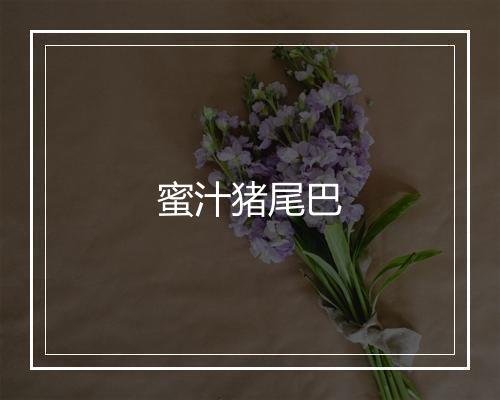 蜜汁猪尾巴