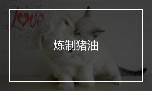 炼制猪油