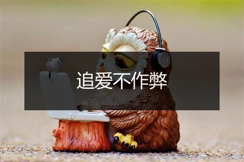 追爱不作弊