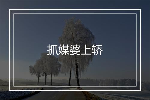 抓媒婆上轿