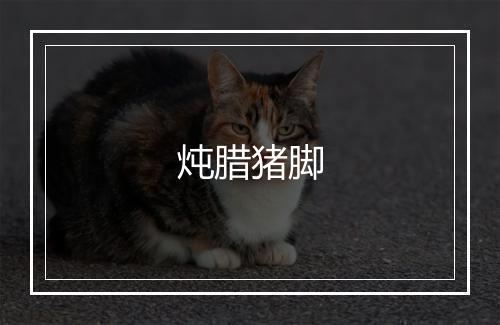 炖腊猪脚