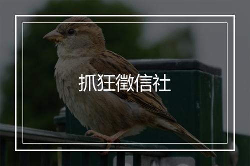 抓狂徵信社