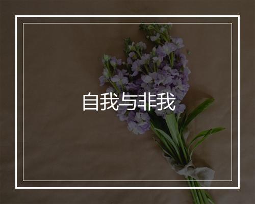 自我与非我