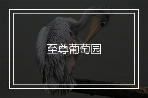 至尊葡萄园