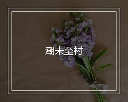 潮未至村