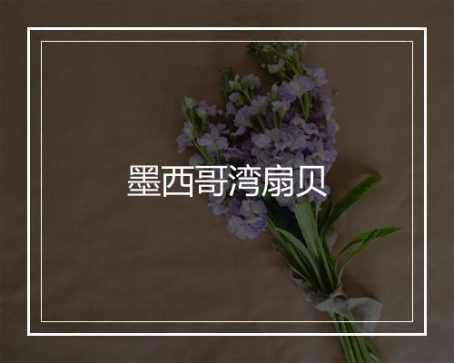 墨西哥湾扇贝