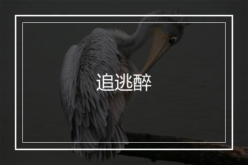 追逃醉