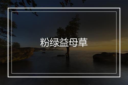 粉绿益母草