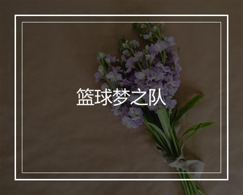 篮球梦之队