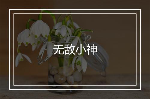 无敌小神