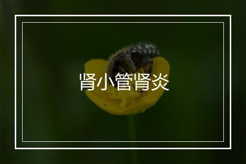 肾小管肾炎