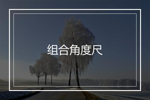 组合角度尺