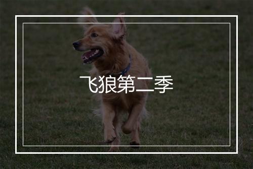 飞狼第二季