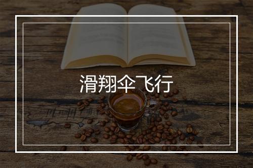 滑翔伞飞行