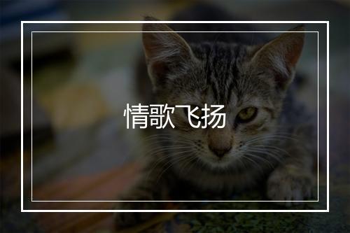 情歌飞扬