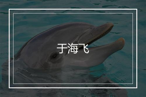 于海飞