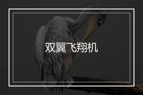 双翼飞翔机