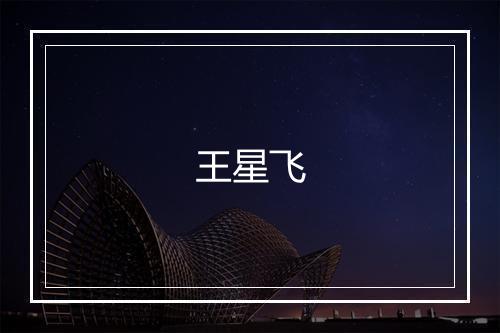 王星飞